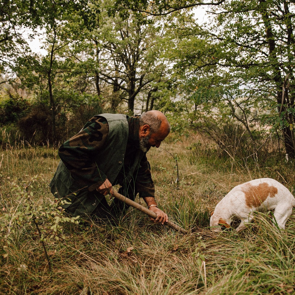 Trüffelsuche mit Hund in Molise