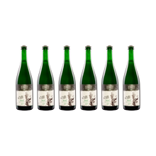 Pet Nat Oh when the saints – 2021 – 6× 750 ml