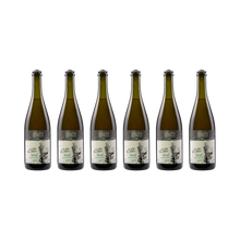 Pet Nat Oh when the saints – 2022 – 6× 750 ml