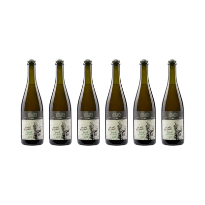 Pet Nat Oh when the saints – 2022 – 6× 750 ml