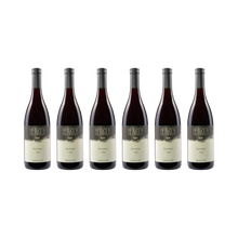 Pinot Noir – 2023 – 6× 750 ml