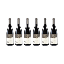 Pinot Freyheit – 2019 – 6× 750 ml
