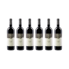 Zweigelt – 2019 – 6× 750 ml