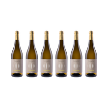 Chardonnay – 2025 – 6× 750 ml