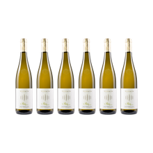 Moriz Weißburgunder – 2023 – 6× 750 ml