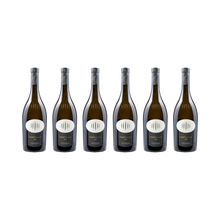 Nussbaumer Gewürztraminer – 2023 – 6× 750 ml