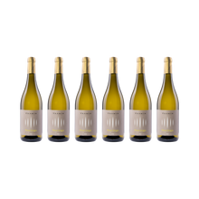 Pinot Grigio – 2025 – 6× 750 ml