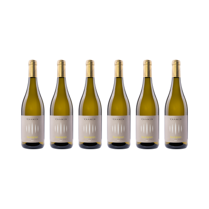 Sauvignon Blanc – 2025 – 6× 750 ml