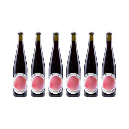 Rays of Red 2024 – 6× 750 ml