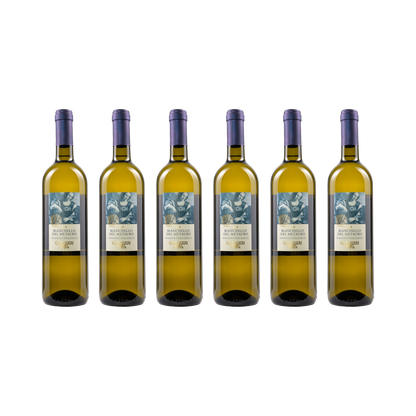 Bianchello del Metauro DOC – 2024 – 6× 750 ml