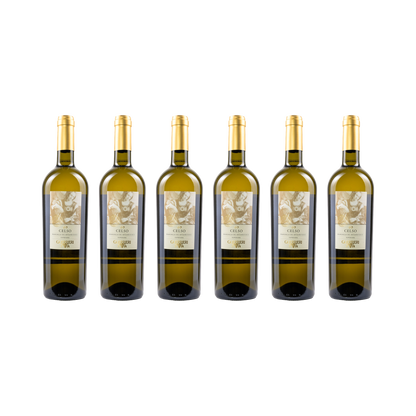 Celso Bianchello del Metauro Superiore DOC – 2023 – 6× 750 ml