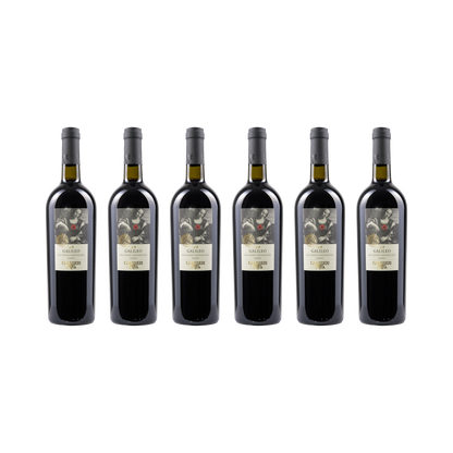 Galileo Colli Pesaresi Sangiovese Riserva DOC – 2023 – 6× 750 ml
