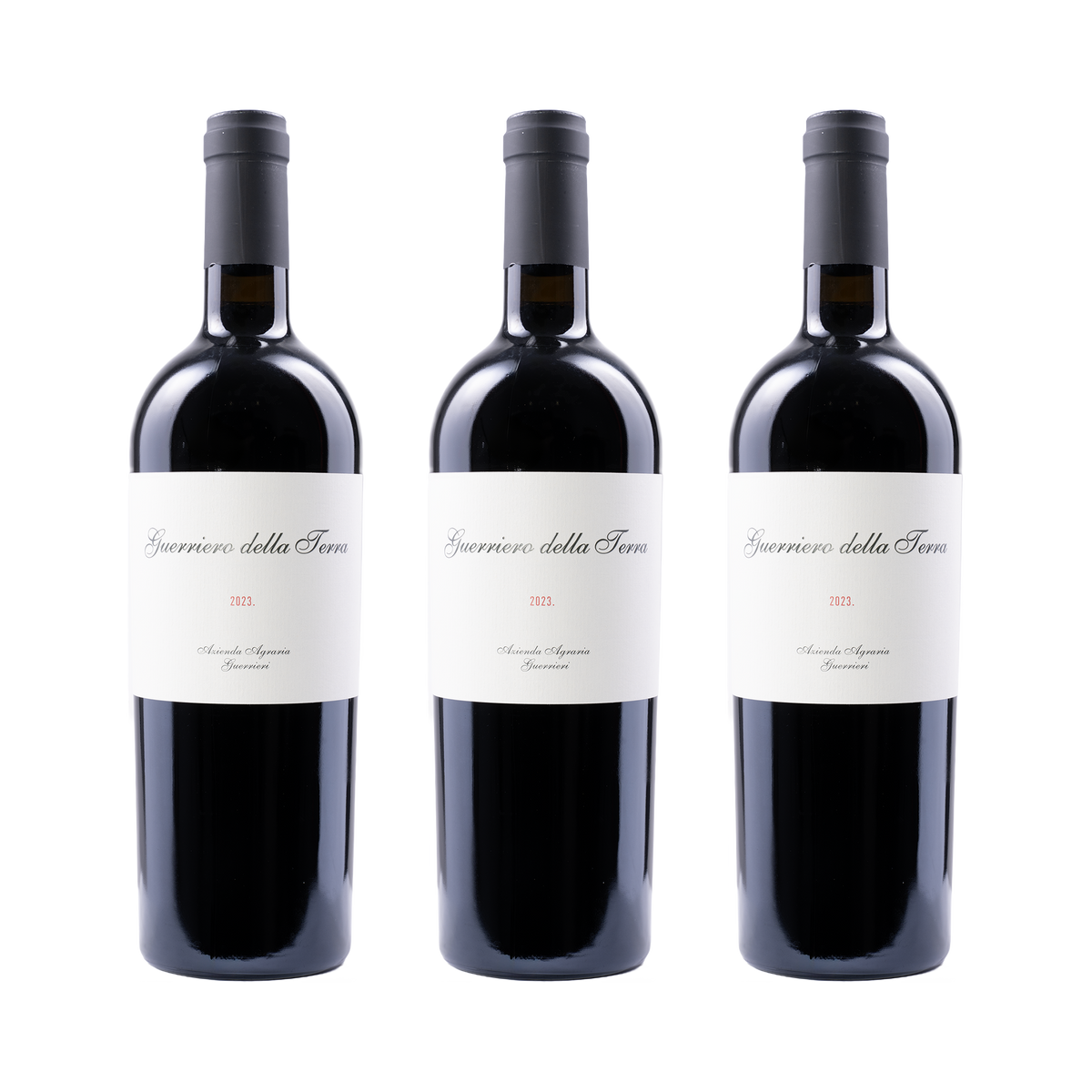 Guerriero della Terra 2023 – 3× 750 ml
