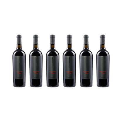 Nero Marche Rosso IGT - 2024 – 6× 750 ml