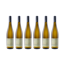 Karl May Muskateller 2025 – 6er Set