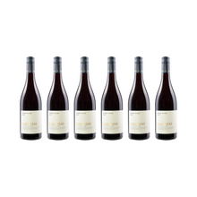 Pinot Noir – 2023 – 6er Set