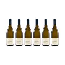 Sauvignon Blanc Terra Rossa – 2021 – 6× 750 ml