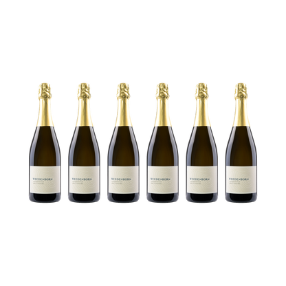 Chardonnay Brut Nature - 2016 – 6× 750 ml
