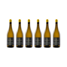 Kalk & Stein 2022 – 6× 750 ml