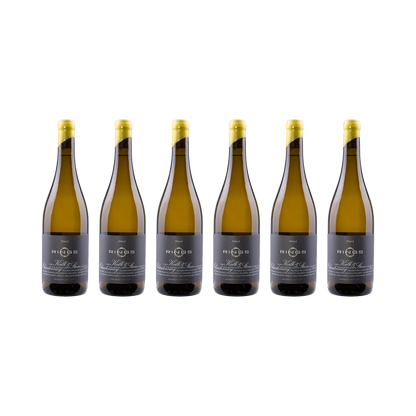 Kalk & Stein Chardonnay 2023 – 6× 750 ml