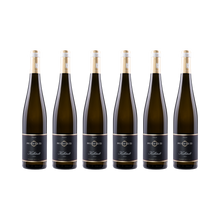 Kallstadt Riesling 2023 – 6× 750 ml