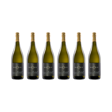 Muskateller 2023 – 6× 750 ml