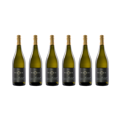 Muskateller 2023 – 6× 750 ml