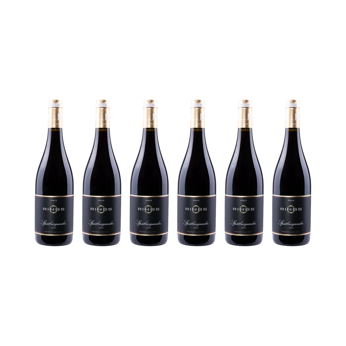 Pfalz Spätburgunder 2022 – 6× 750 ml