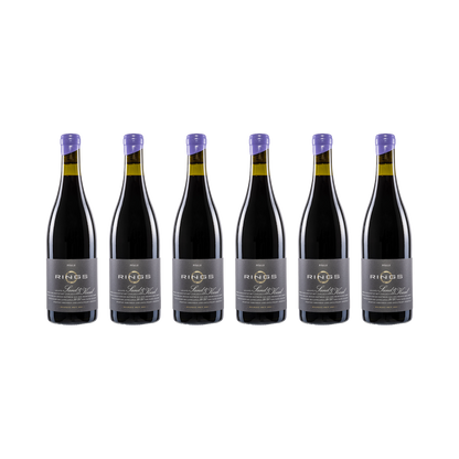 Sand & Kiesel 2020 – 6× 750 ml