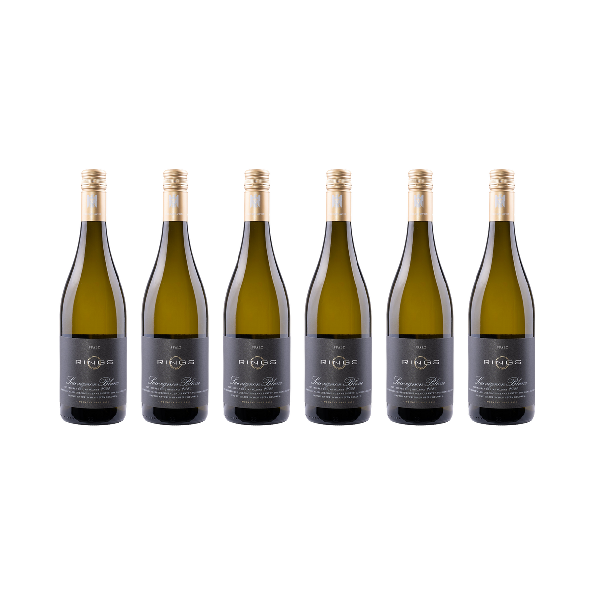 Sauvignon Blanc 2024 – 6× 750 ml