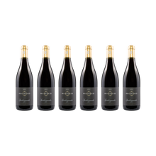 Pfalz Spätburgunder 2021 – 6× 750 ml