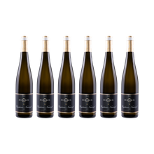 Ungsteiner Nussriegel Riesling 2023 – 6× 750 ml