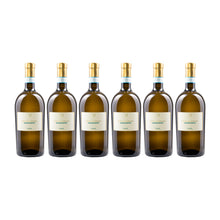 Pasini Il Lugana 6er Weinset