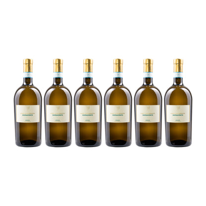 Pasini Il Lugana 6er Weinset