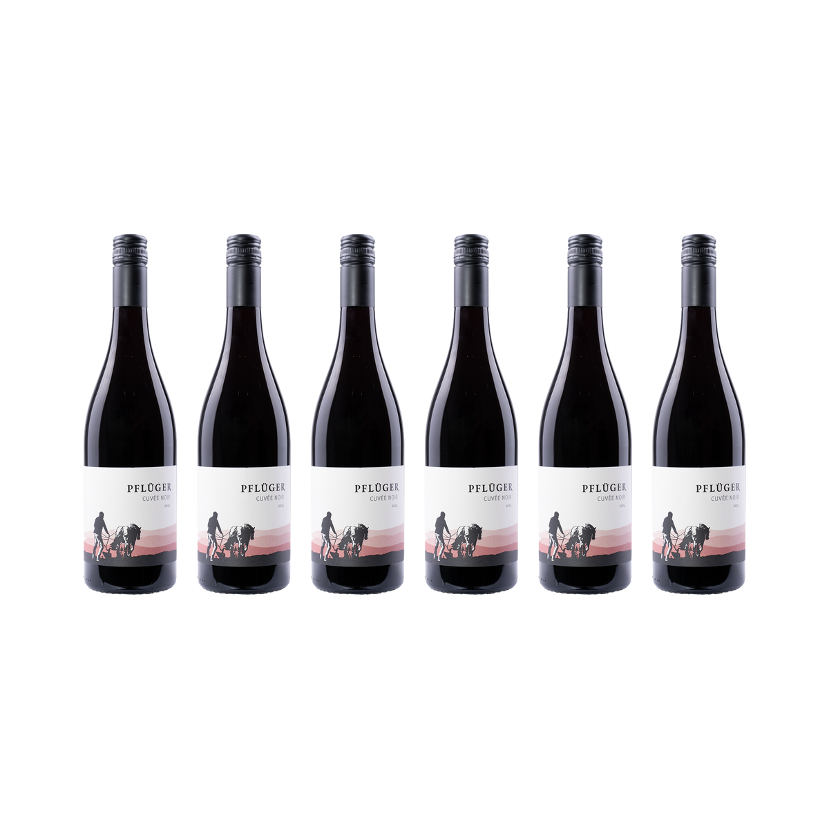 Cuvée Noir – 2024 – 6er Set