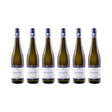 Riesling Tradition – 2024 – 6× 750 ml