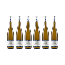 Riesling vom Kalksteinfels – 2022 – 6× 750 ml