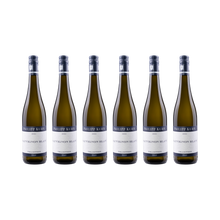 Sauvignon Blanc – 2024 – 6× 750 ml