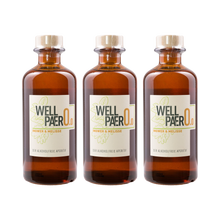 Wellpaero Ingwer Melisse – alkoholfrei – 3× 350 ml