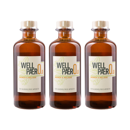 Wellpaero Ingwer Melisse – alkoholfrei – 3× 350 ml