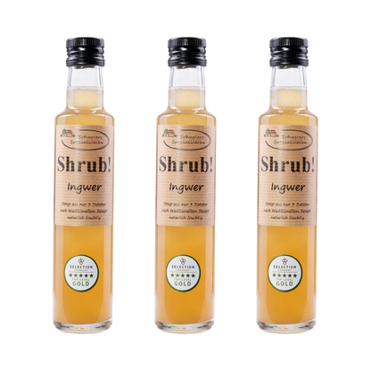 Shrub Ingwer Sirup – 3× 250 ml