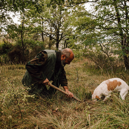 Trüffelsuche mit Hund in Molise