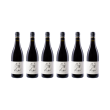 Oliver Zeter 6er-Set – Pinot Noir 2023