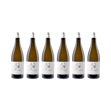Oliver Zeter 6er-Set – Sauvignon Fume 2023