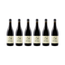 Syrah Reserve – 2022 – 6× 750 ml