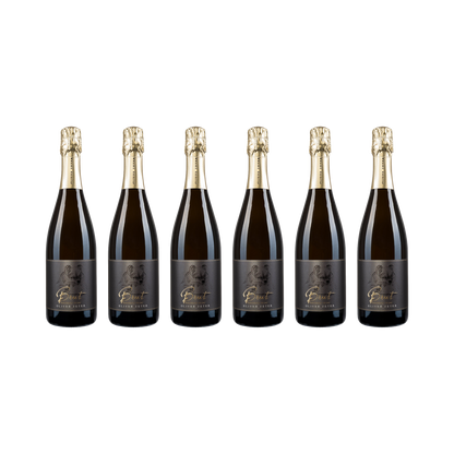 Sauvignon Blanc Sekt Brut – 6× 750 ml