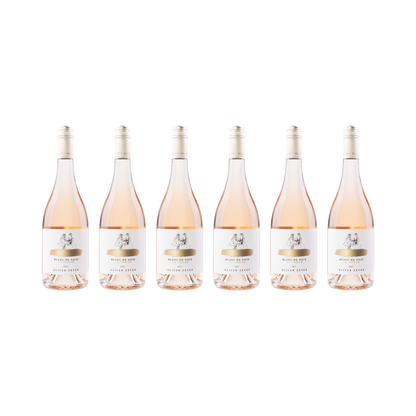 Oliver Zeter 6er-Set – Blanc De Noir 2025